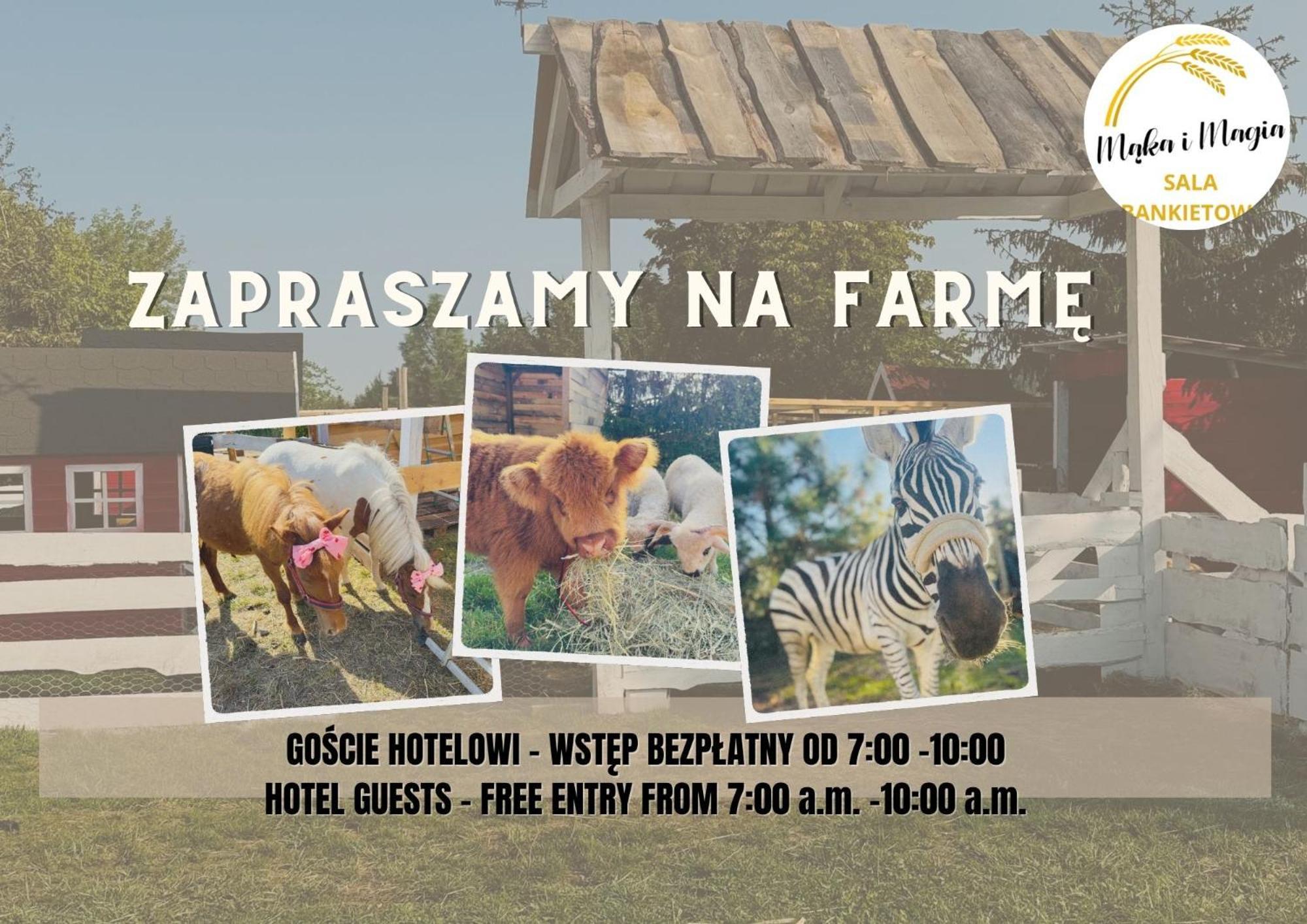 Magiczna Farma Hotel Obiady Maka I Magia Zambrow Exteriér fotografie